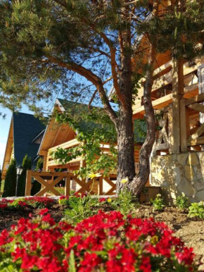 API komora Zlatibor Zlatibor